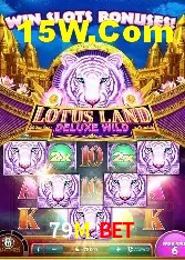 Experiência VIP 79M Bet